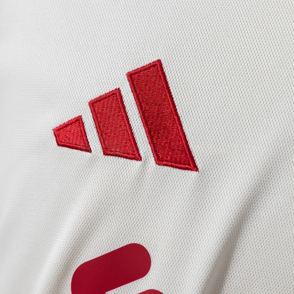 Liverpool Jersey 25/26 Away Football Kit Fans Version