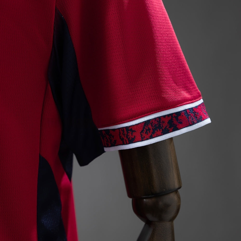 Czech Republic Home Jersey 2026 Football Kit Soccer Shirt