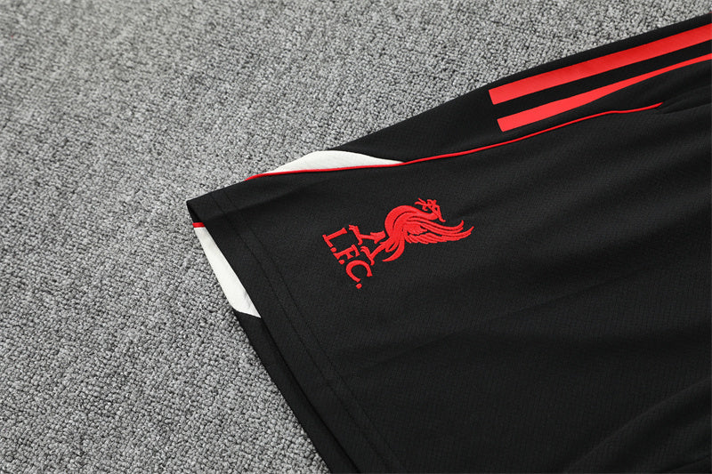 Liverpool Training Tracksuits 25/26 Football Kit Soccer Jersey