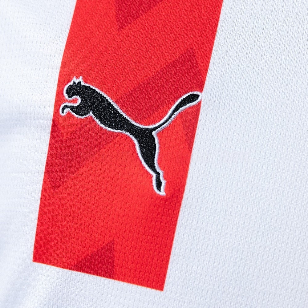 PSV Eindhoven Jersey 25/26 Home Football Kit