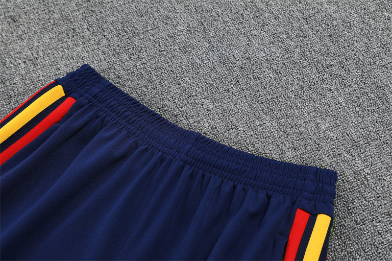Spain Training Tracksuits 2026 Football Kit Soccer Jersey