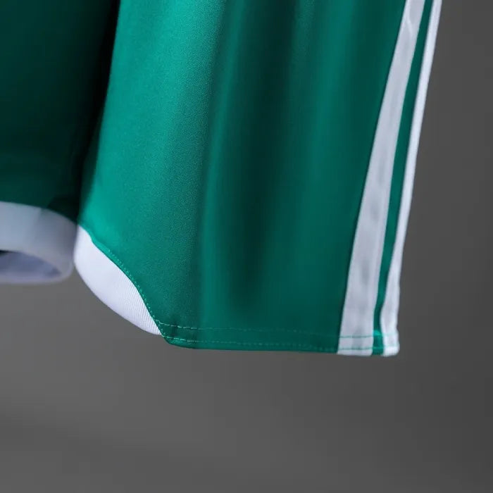Kids Northern Ireland Home Jersey 2026 World Cup Football Kit Soccer Shirt