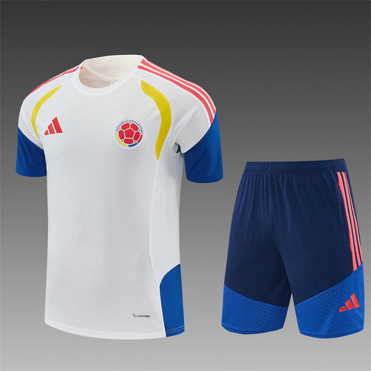 Colombia Training Tracksuits 2026 Football Kit Soccer Jersey