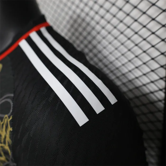 Player Version Japan Special Jersey 24/25 Football Kit