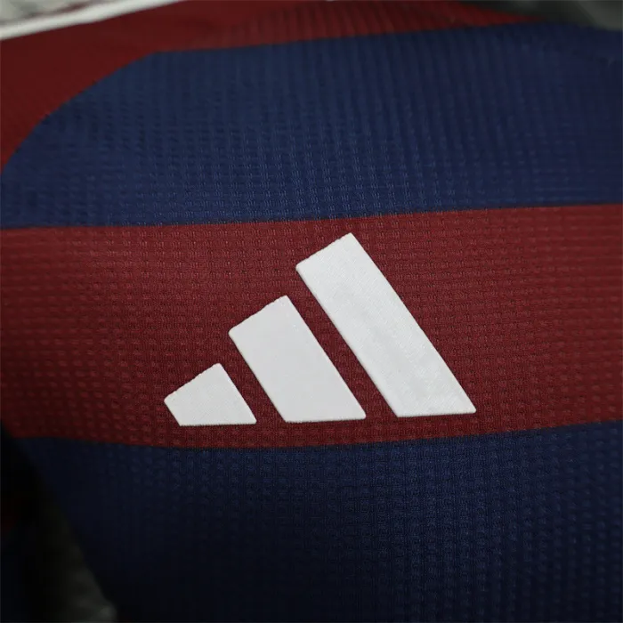 Player Version Newcastle United Away Kit 24/25 Football Jersey