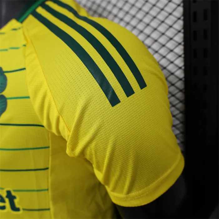 Player Version Celtic Away Kit 24/25 Football Jersey