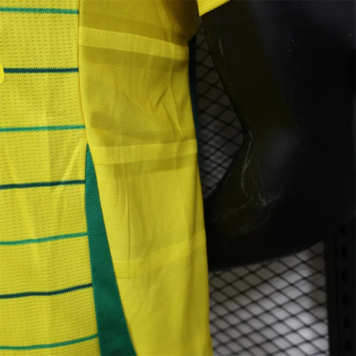 Player Version Celtic Away Kit 24/25 Football Jersey