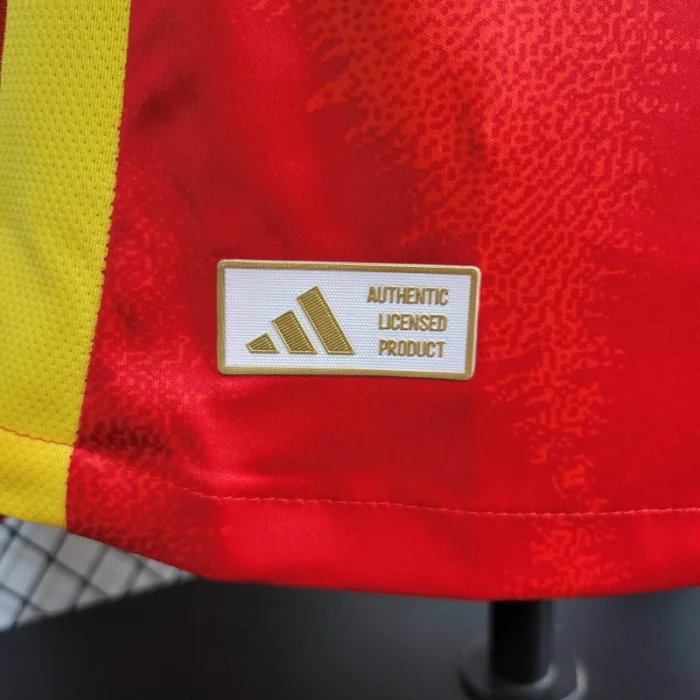 Player Spain Home Kit 24/25 Euro Cup 2024 Football Jersey