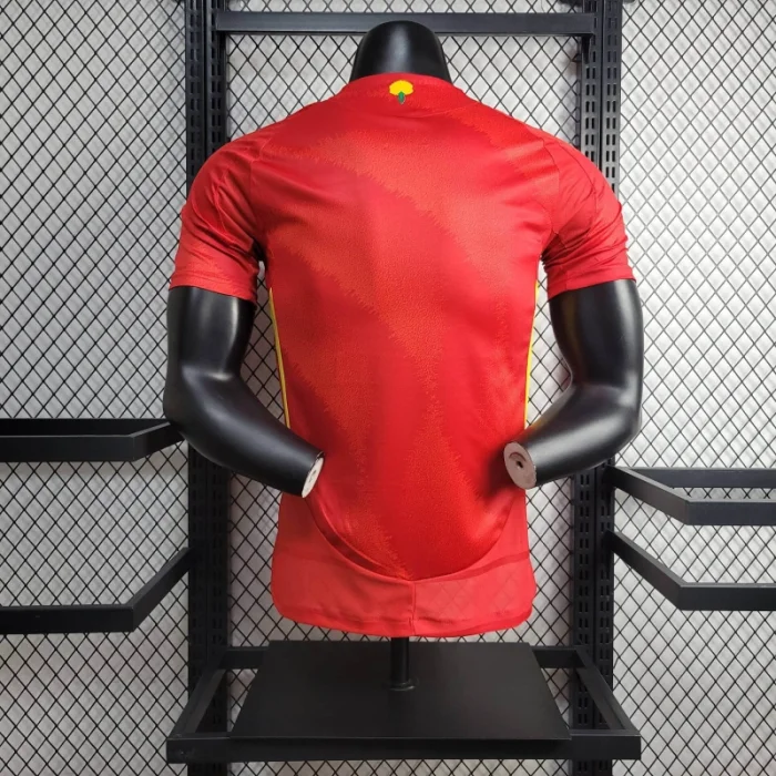 Player Spain Home Kit 24/25 Euro Cup 2024 Football Jersey