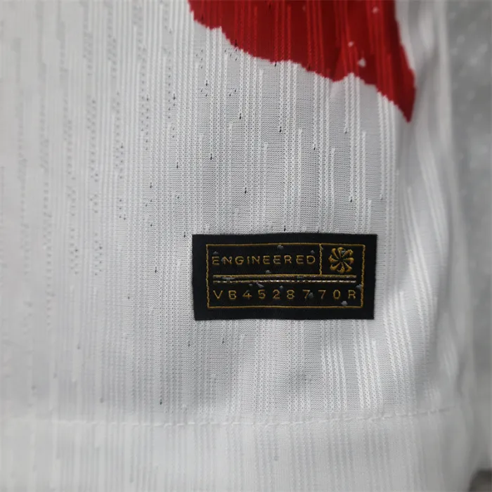Player PSG Away Kit 24/25 Football Jersey