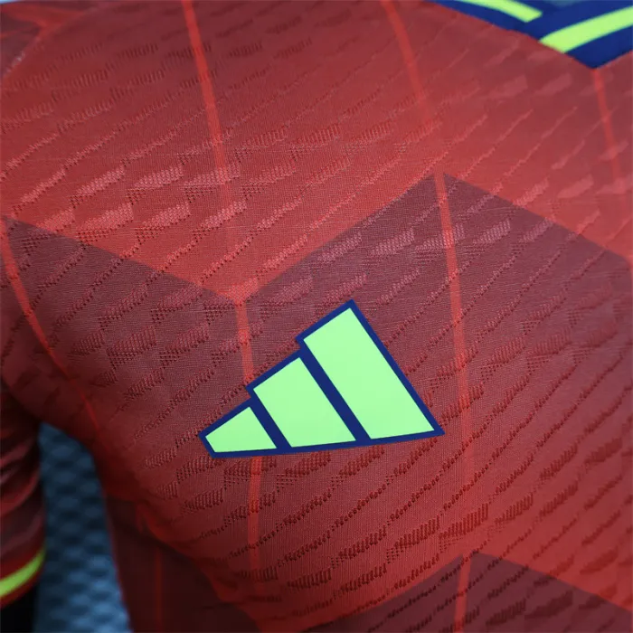 Player Version Spain special Kit 24/25 Euro Cup 2024 Football Jersey