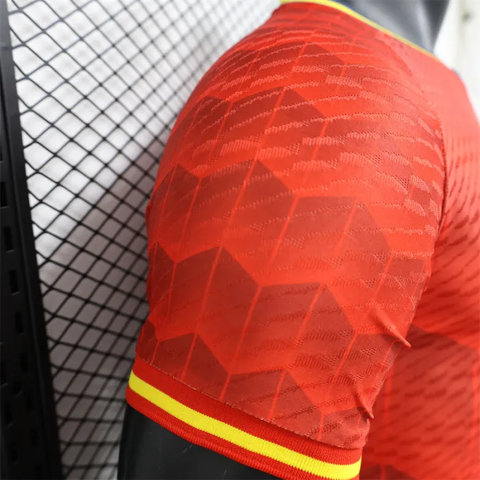 Player Version Spain special Kit 24/25 Euro Cup 2024 Football Jersey
